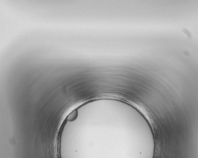 X0000115421003200912011242