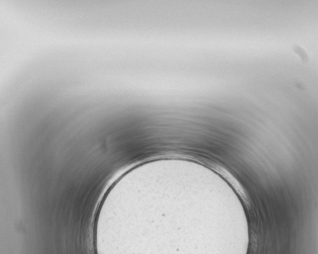 X0000115421004200912011242