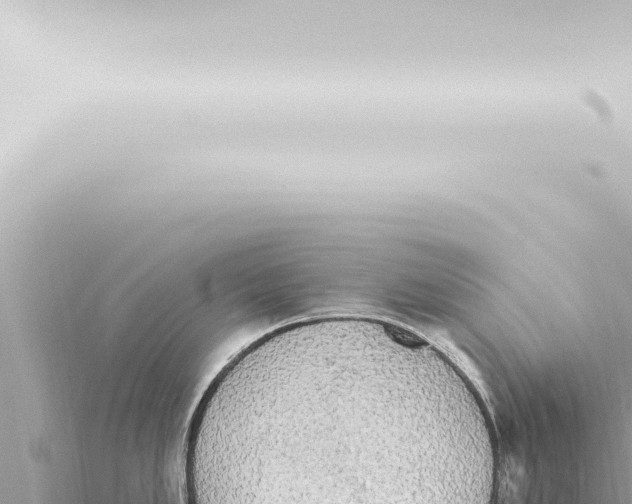 X0000115421005200912011242