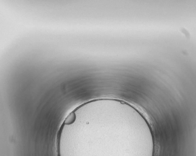 X0000115421006200912011242