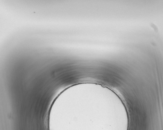 X0000115421008200912011242