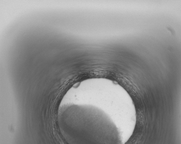 X0000115421009200912011241