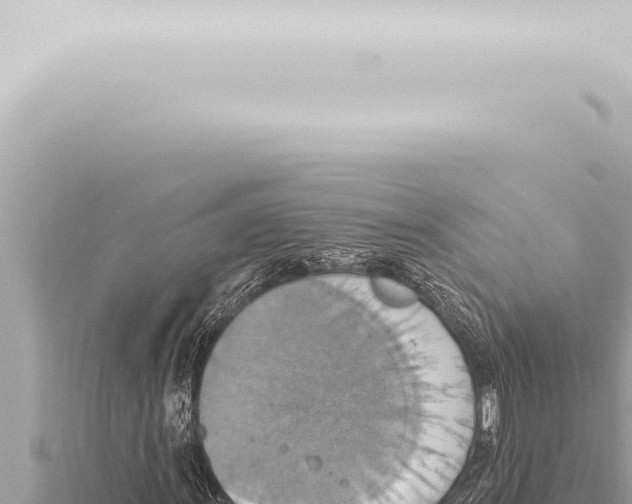 X0000115421011200912011242