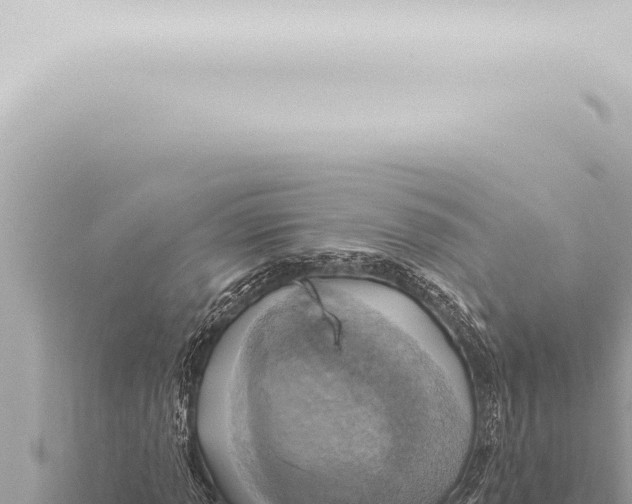 X0000115421013200912011242