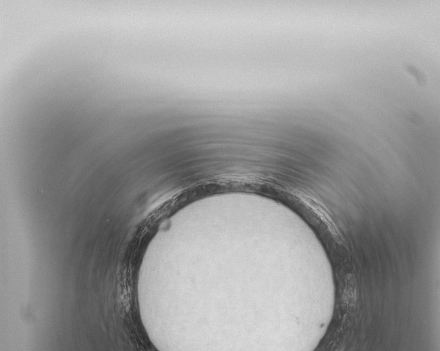 X0000115421015200912011242