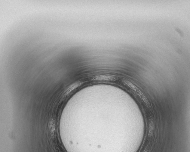 X0000115421017200912011242