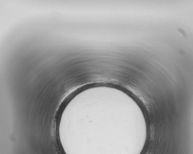 X0000115421021200912011242