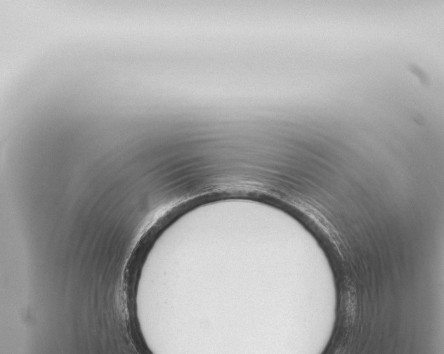 X0000115421022200912011242