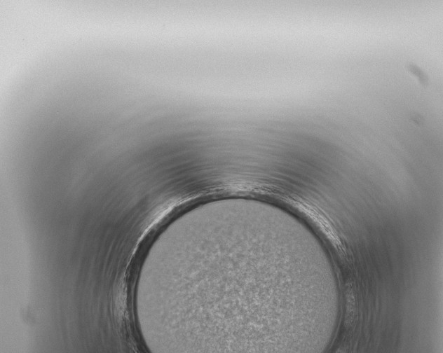 X0000115421023200912011242