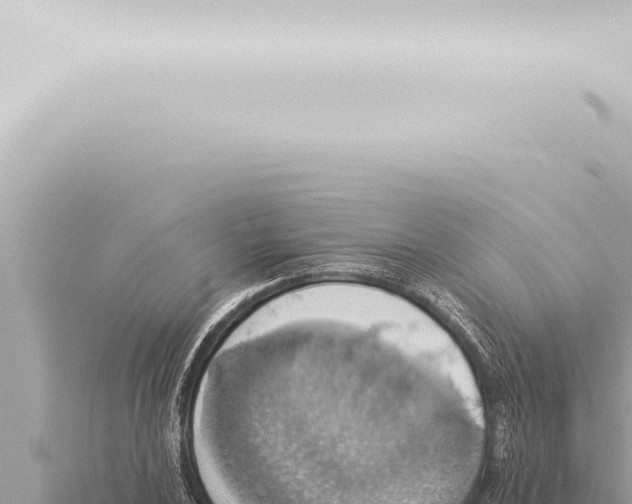 X0000115421024200912011242