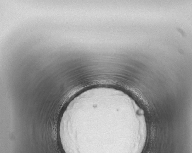 X0000115421025200912011242