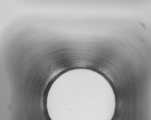 X0000115421026200912011242