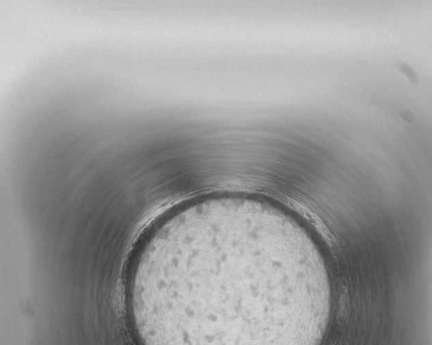 X0000115421027200912011242