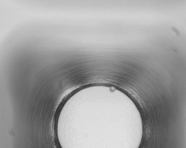 X0000115421030200912011242