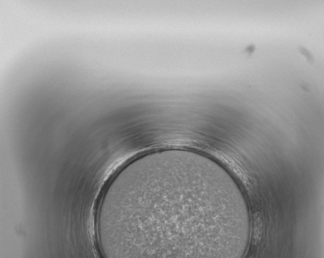 X0000115421031200912011242