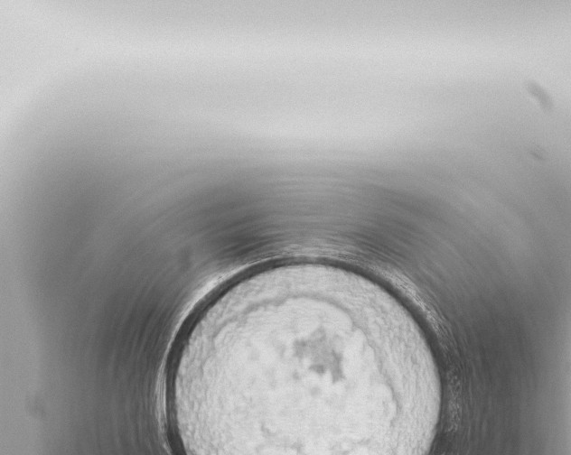 X0000115421032200912011242