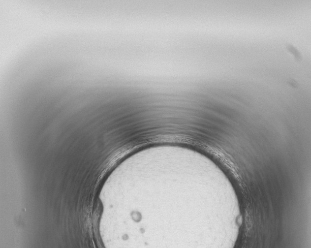 X0000115421033200912011242