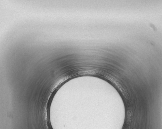 X0000115421034200912011242