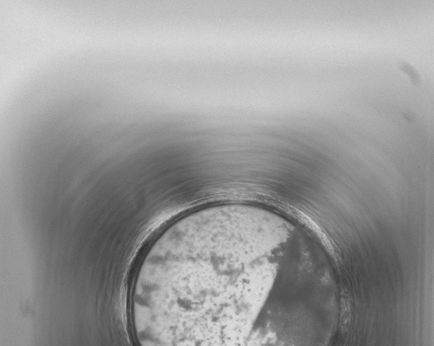 X0000115421035200912011242