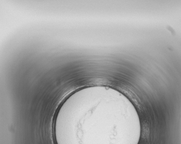 X0000115421039200912011242