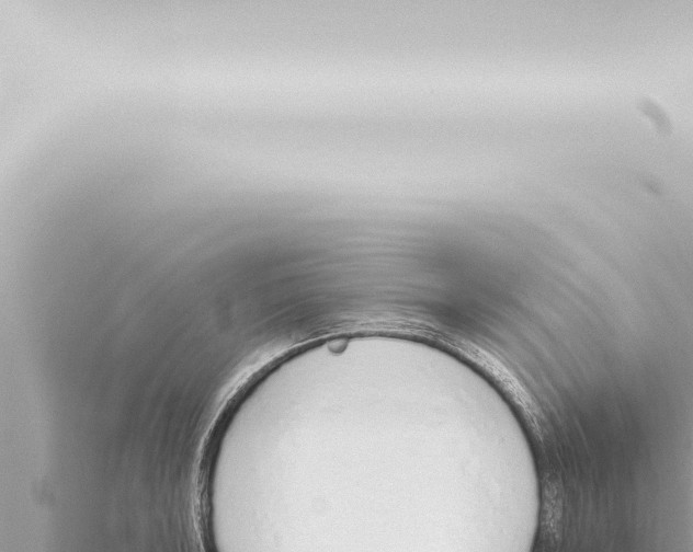 X0000115421043200912011242