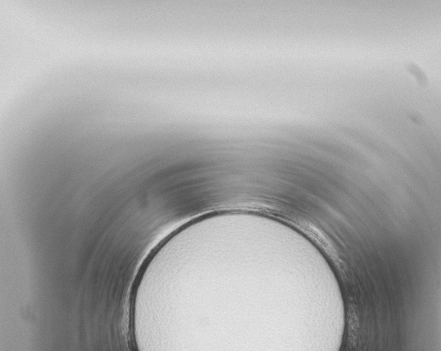 X0000115421044200912011242