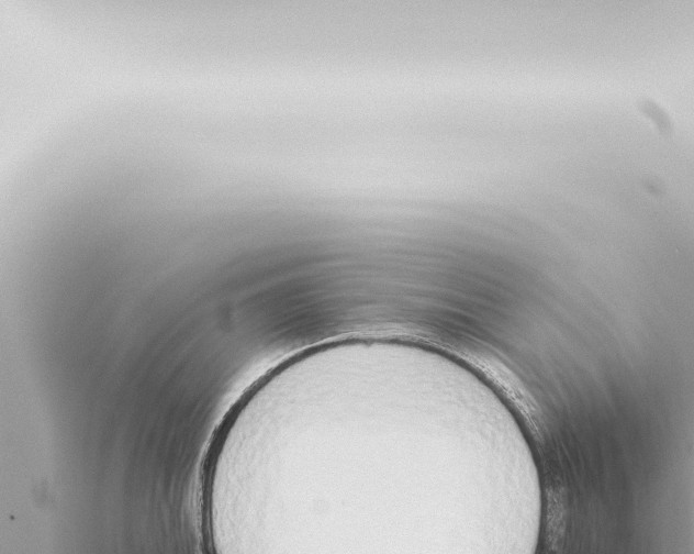 X0000115421046200912011242