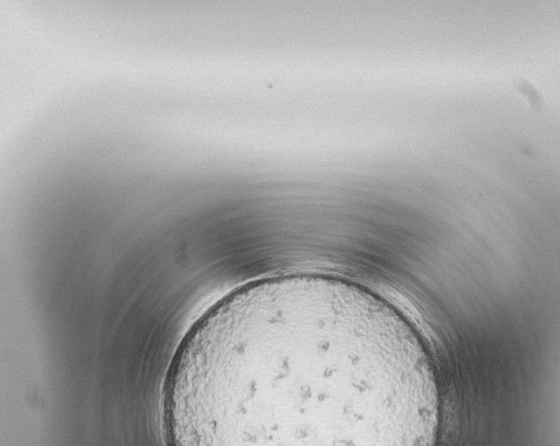 X0000115421047200912011242