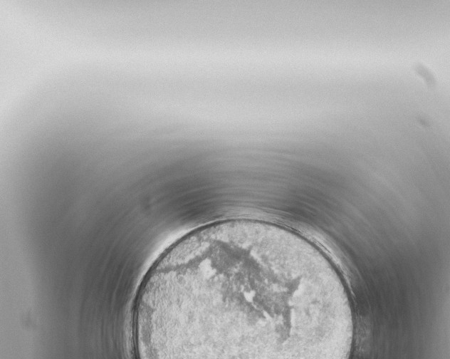 X0000115421048200912011242