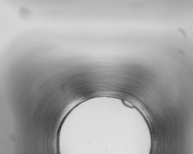 X0000115421050200912011242