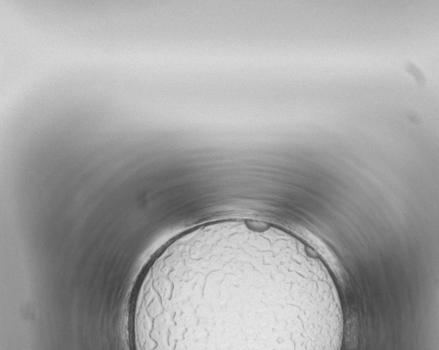 X0000115421051200912011242