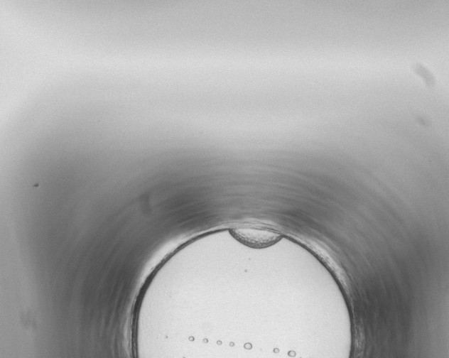 X0000115421054200912011242