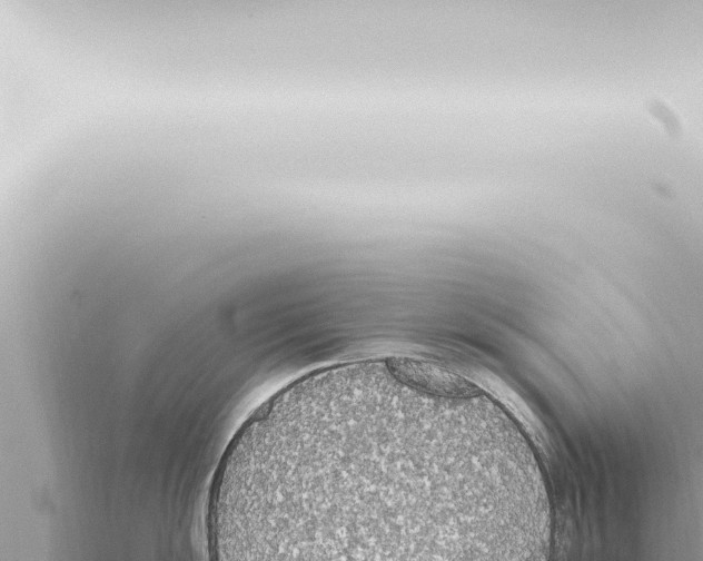 X0000115421055200912011242