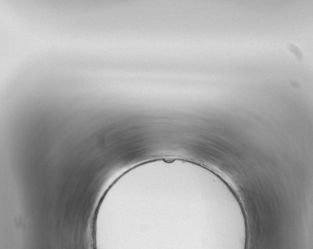 X0000115421056200912011242