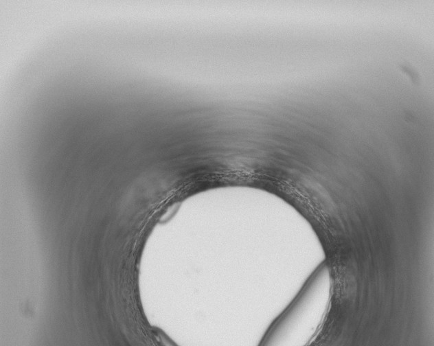 X0000115421057200912011241