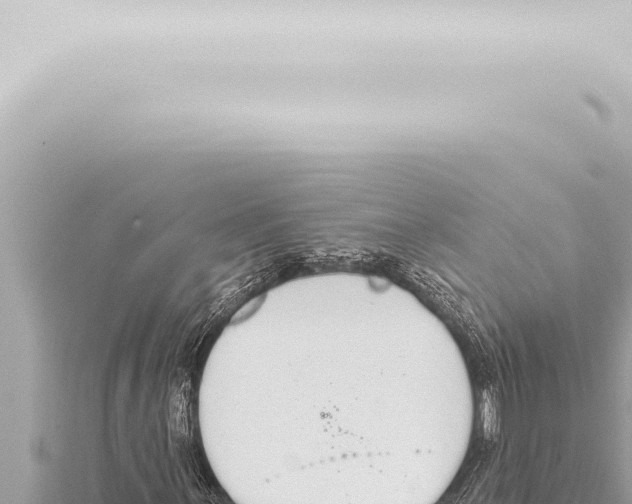 X0000115421059200912011241