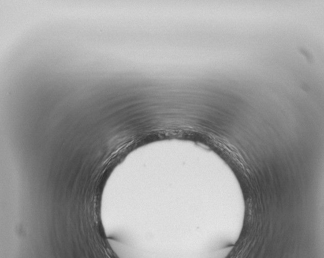 X0000115421060200912011241