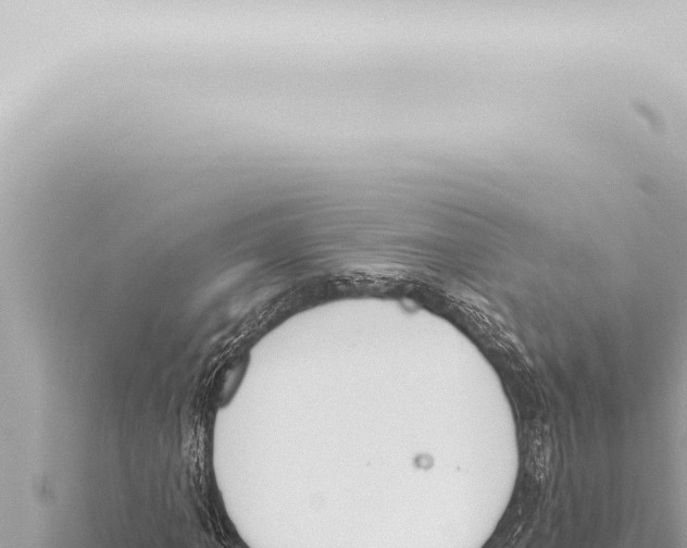 X0000115421061200912011241