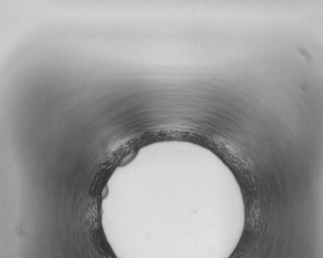 X0000115421062200912011241