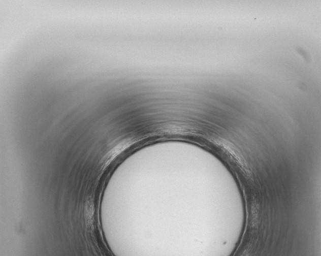 X0000115421065200912011241