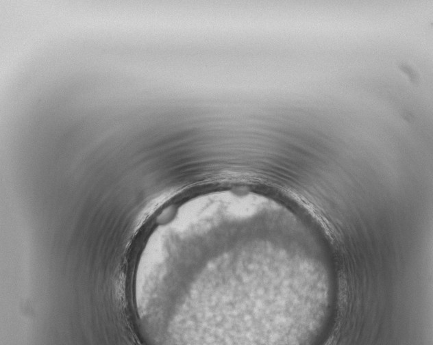 X0000115421066200912011241