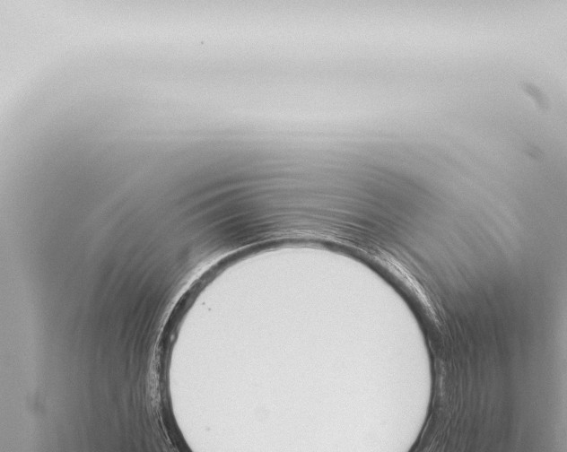 X0000115421068200912011241