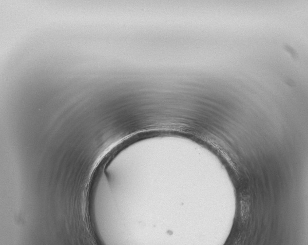 X0000115421069200912011241