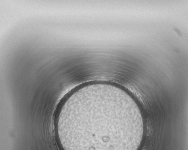 X0000115421070200912011241