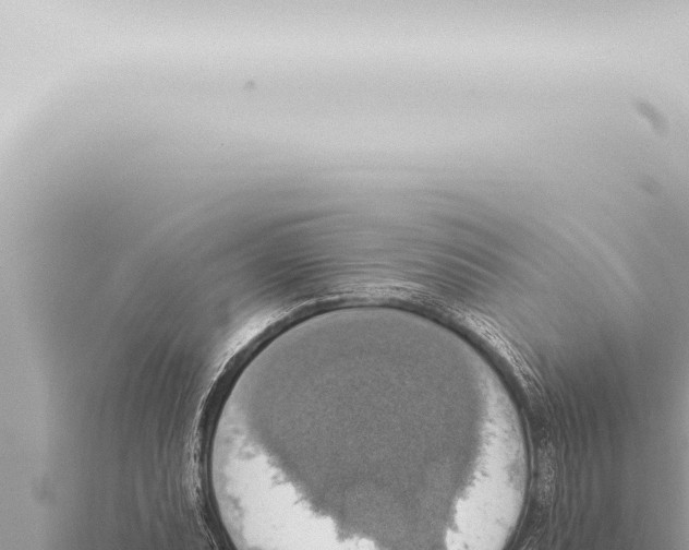 X0000115421071200912011241