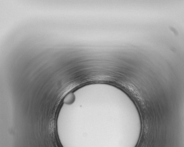 X0000115421073200912011241