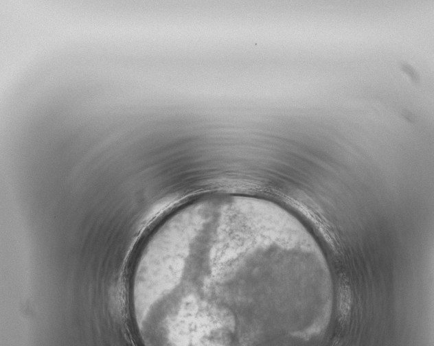 X0000115421074200912011241