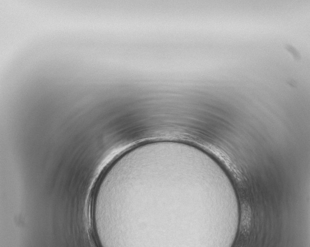 X0000115421078200912011241