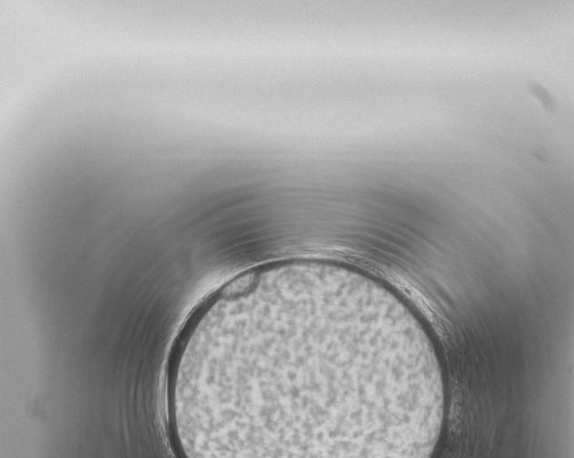 X0000115421080200912011241