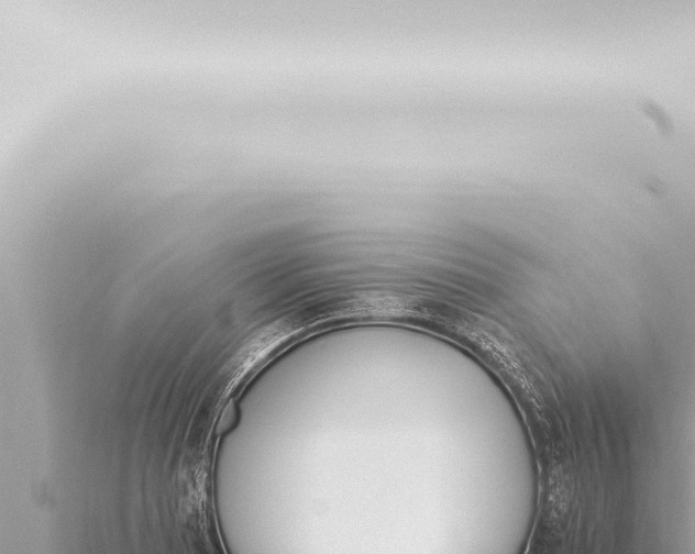 X0000115421081200912011241